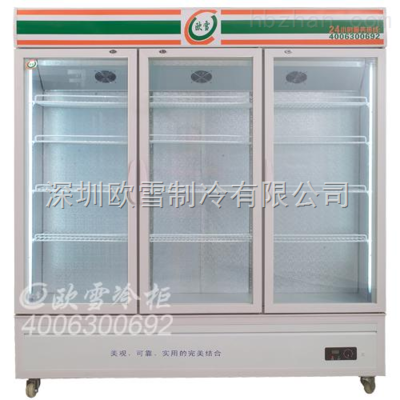 家用冷藏柜 立式設計的優勢與應用前景